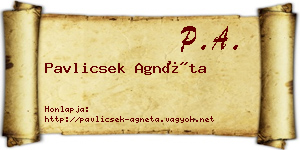 Pavlicsek Agnéta névjegykártya